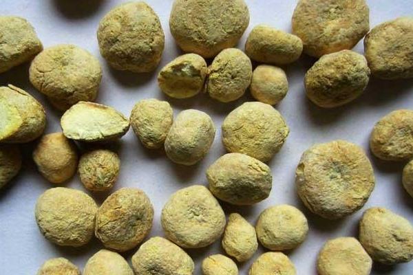 半夏圖片大全 中藥半夏是什么