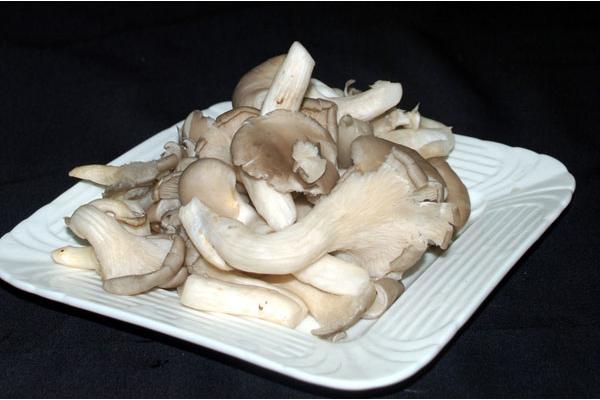 平菇不能和什么一起吃 平菇的挑選方法