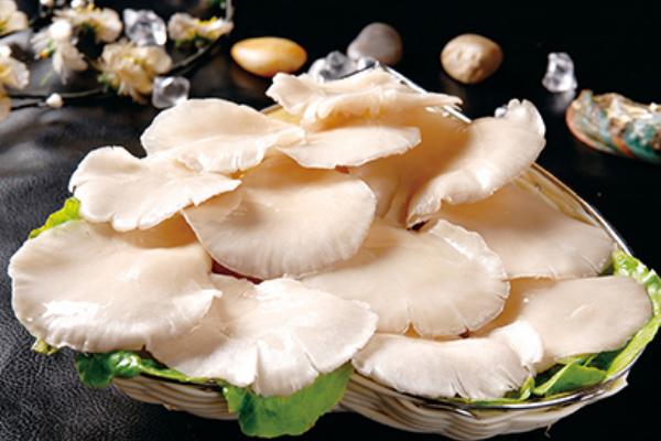 平菇不能和什么一起吃 平菇的挑選方法