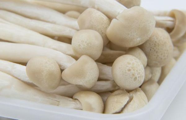 茶樹菇孕婦可以吃嗎 孕婦吃茶樹菇的好處