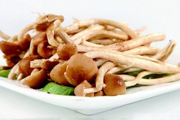 茶樹菇孕婦可以吃嗎 孕婦吃茶樹菇的好處