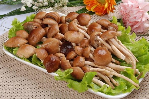 茶樹菇孕婦可以吃嗎 孕婦吃茶樹菇的好處