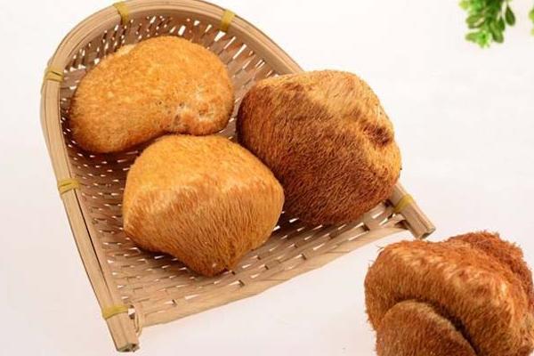 猴頭菇的家常做法 新鮮猴頭菇怎么做好吃