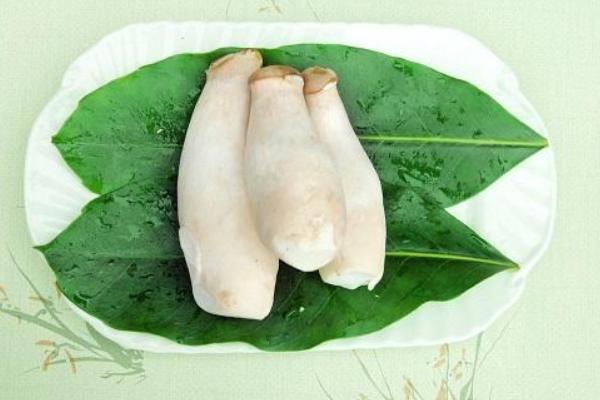 杏鮑菇的做法大全 杏鮑菇怎么做好吃