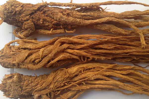 當歸黃芪烏雞湯功效作用及做法 當歸黃芪烏雞湯的烹飪技巧