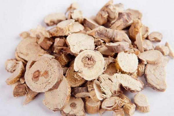 苦參圖片大全 苦參有什么作用