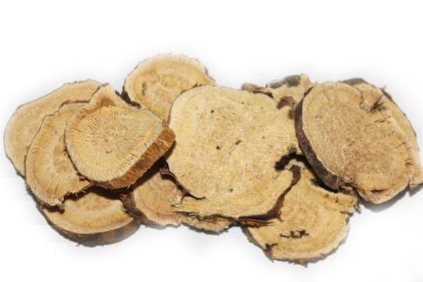 苦參圖片大全 苦參有什么作用