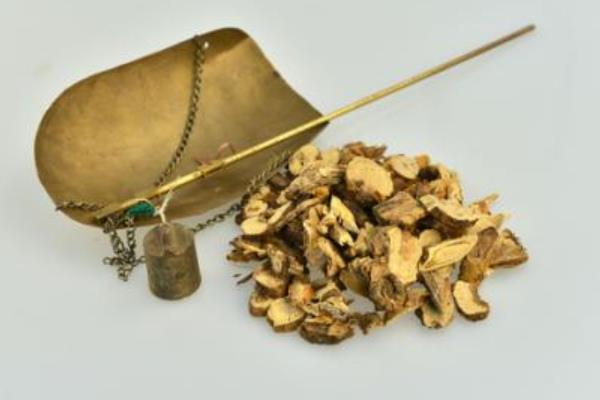 苦參圖片大全 苦參有什么作用