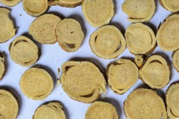 苦參圖片大全 苦參有什么作用