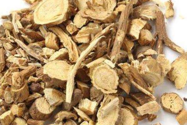 苦參畝產利潤是多少 苦參種植效益及前景