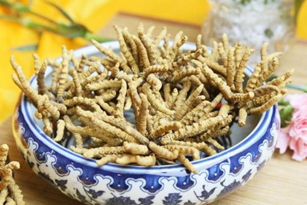 冬蟲夏草治什么病 冬蟲夏草怎么吃有效