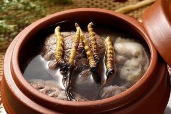 冬蟲夏草治什么病 冬蟲夏草怎么吃有效