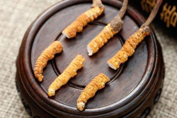 蟲(chóng)草和冬蟲(chóng)夏草的區(qū)別是什么 冬蟲(chóng)夏草的鑒別方法