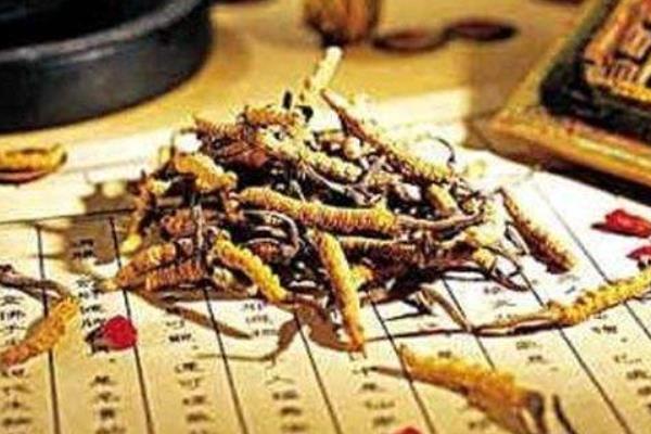 蟲(chóng)草和冬蟲(chóng)夏草的區(qū)別是什么 冬蟲(chóng)夏草的鑒別方法