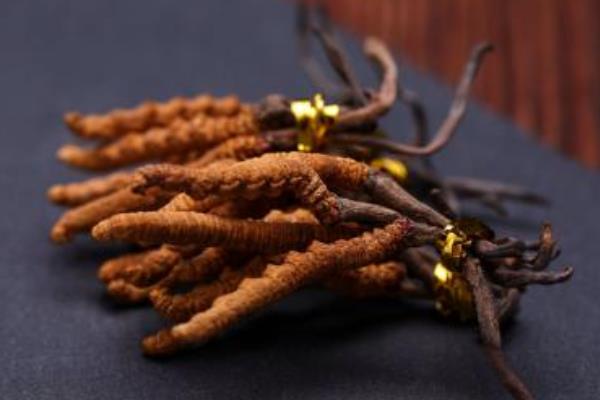 蟲(chóng)草和冬蟲(chóng)夏草的區(qū)別是什么 冬蟲(chóng)夏草的鑒別方法