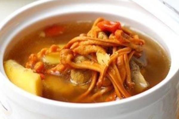 蟲草排骨湯的功效與作用 蟲草排骨湯的做法