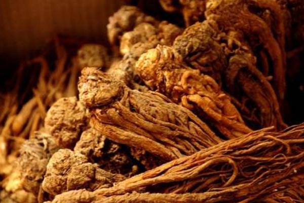 當歸畝產效益 當歸種植市場前景分析