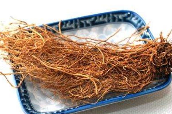 細辛功效與作用及禁忌 細辛的鑒定方法