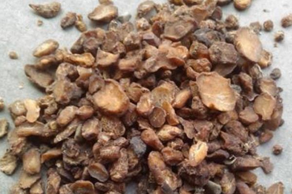 姜半夏的功效與作用及禁忌 姜半夏和其他半夏的區別