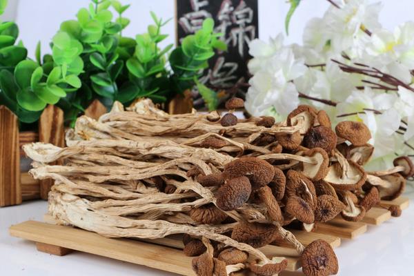 干茶樹菇市場價格多少錢一斤 干茶樹菇怎么做