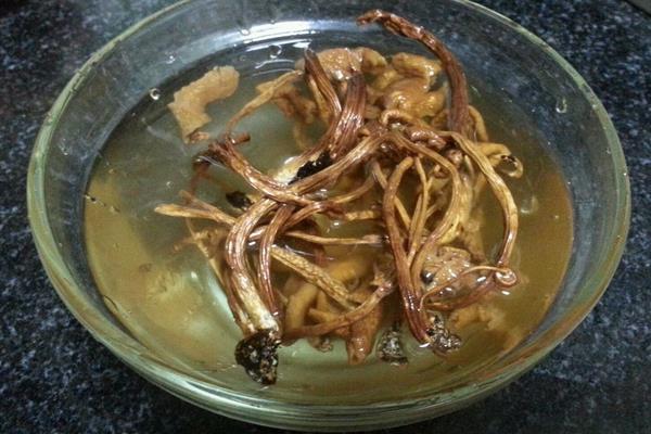 干茶樹菇市場價格多少錢一斤 干茶樹菇怎么做