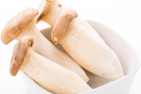 杏鮑菇市場(chǎng)價(jià)格多少錢一斤 杏鮑菇的挑選