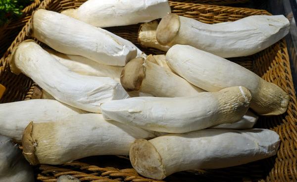 杏鮑菇市場(chǎng)價(jià)格多少錢一斤 杏鮑菇的挑選