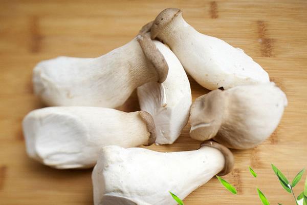 杏鮑菇是雞腿菇嗎 杏鮑菇和雞腿菇的區(qū)別