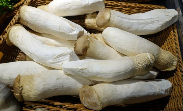 杏鮑菇的功效與作用及禁忌 杏鮑菇的營養價值