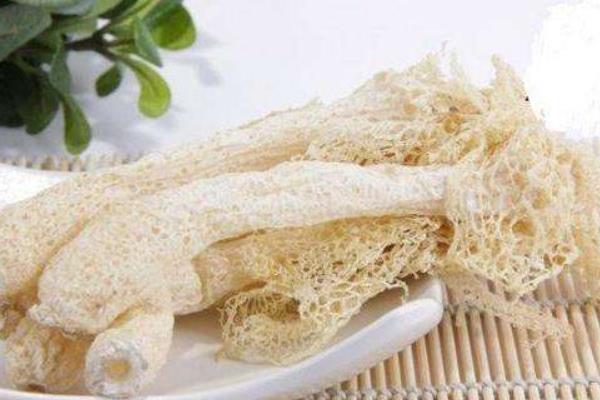 竹蓀功效與作用及禁忌 竹蓀的營養(yǎng)價值