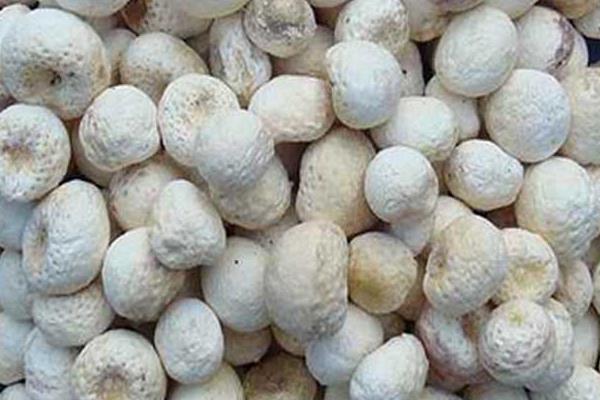 半夏市場價(jià)格多少錢一斤 半夏的功效和作用