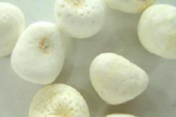 半夏產地在哪里 半夏的形態特征