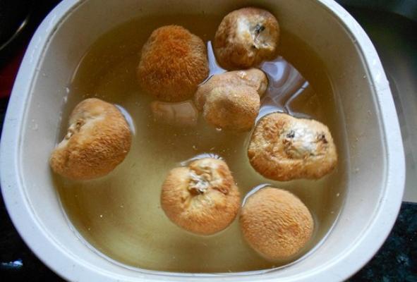 猴頭菇怎么吃最好 鮮猴頭菇怎么處理