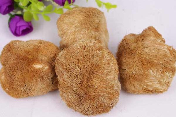 猴頭菇怎么吃最好 鮮猴頭菇怎么處理