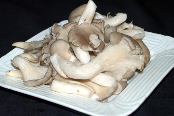 平菇炒肉怎么炒好吃 平菇炒肉的做法