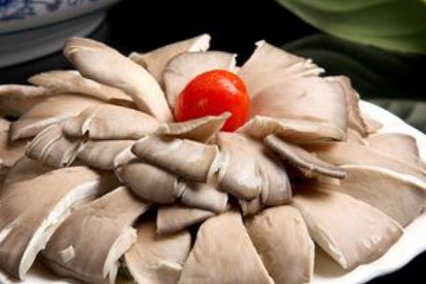 平菇圖片大全 平菇屬于蘑菇嗎