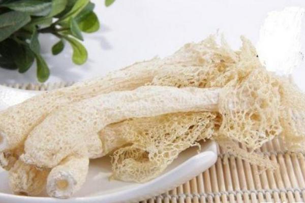 竹蓀圖片大全 竹蓀是什么 竹蓀的食用方法
