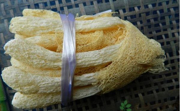 竹蓀燉雞湯的做法 竹蓀燉雞怎么做好吃