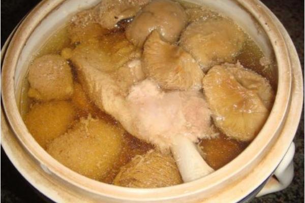 猴頭菇的功效與作用及禁忌 猴頭菇的營(yíng)養(yǎng)價(jià)值及食用方法