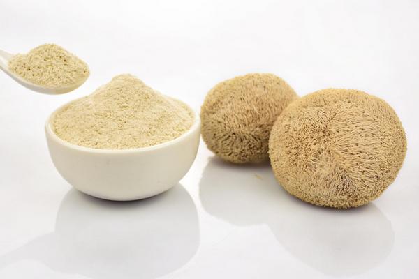 猴頭菇的功效與作用及禁忌 猴頭菇的營(yíng)養(yǎng)價(jià)值及食用方法