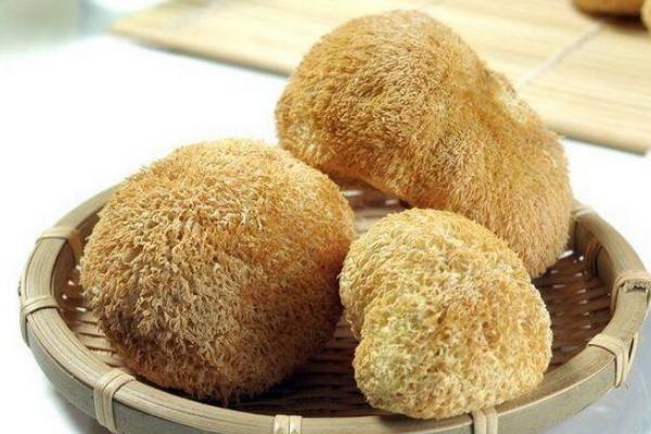 猴頭菇為什么是苦的 猴頭菇怎么泡