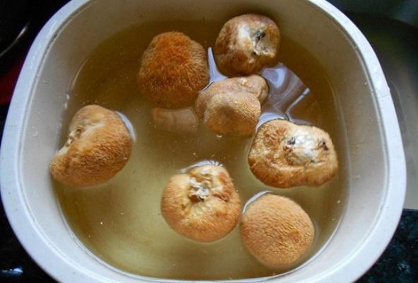 猴頭菇為什么是苦的 猴頭菇怎么泡