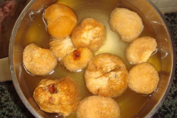 猴頭菇為什么是苦的 猴頭菇怎么泡