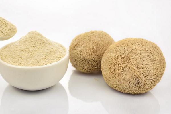 猴頭菇怎么吃最好 鮮猴頭菇怎么處理