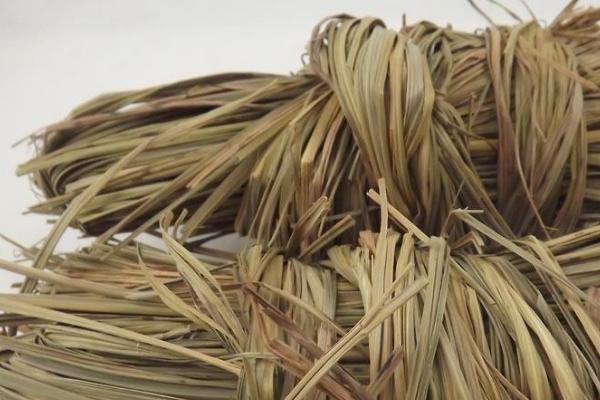 香茅功效與作用及禁忌 香茅怎么吃