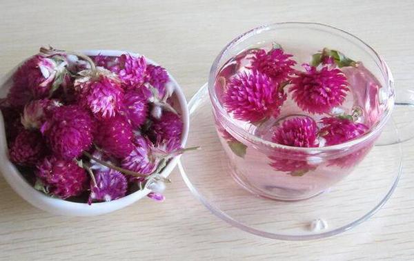 千日紅泡水喝的功效與作用 千日紅和什么一起泡效果好