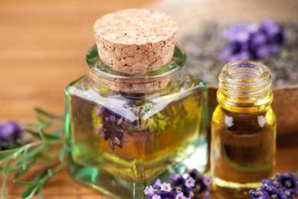 迷迭香精油的功效與作用 迷迭香精油的禁忌