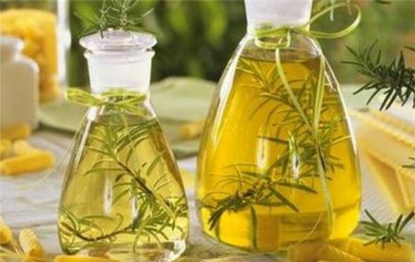 迷迭香精油的功效與作用 迷迭香精油的禁忌