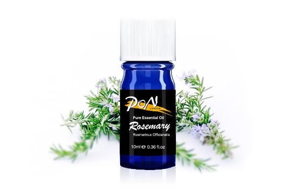 迷迭香精油的功效與作用 迷迭香精油的禁忌
