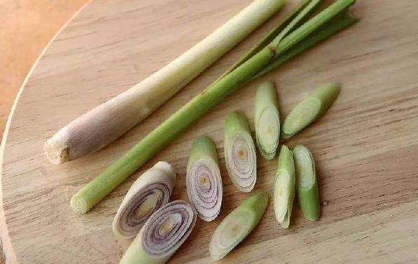 香茅是什么 香茅產地在哪里